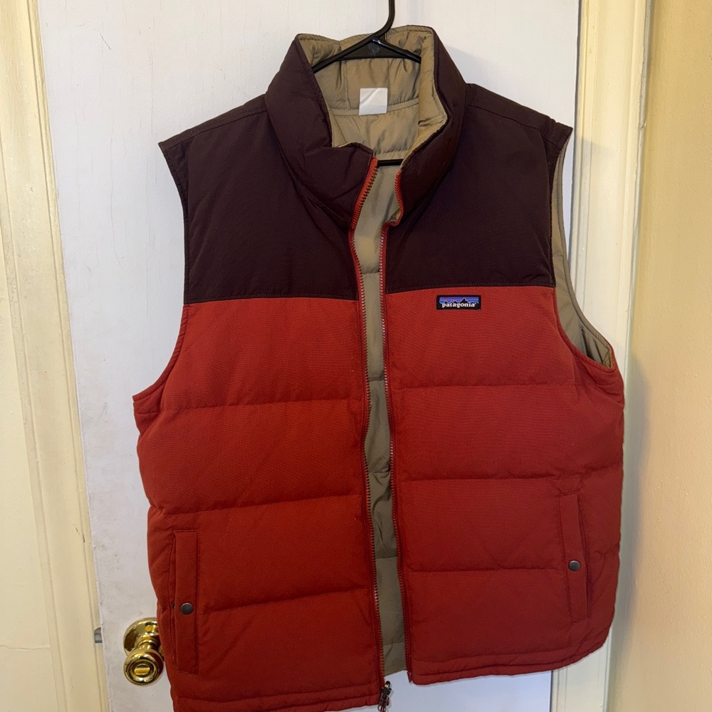Patagonia Men's Reversible Bivy Down Vest